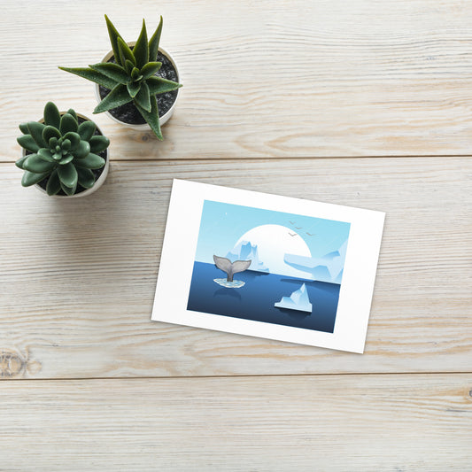 Whale Fin & Icebergs Postcard